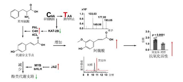 復(fù)旦3月科研成果一覽來(lái)了 _ 科研速遞