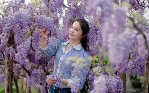 身邊的好教師 書寫芙蓉“樣范”｜蓉園小學羅美文：把愛和美的種子播撒進學生心田